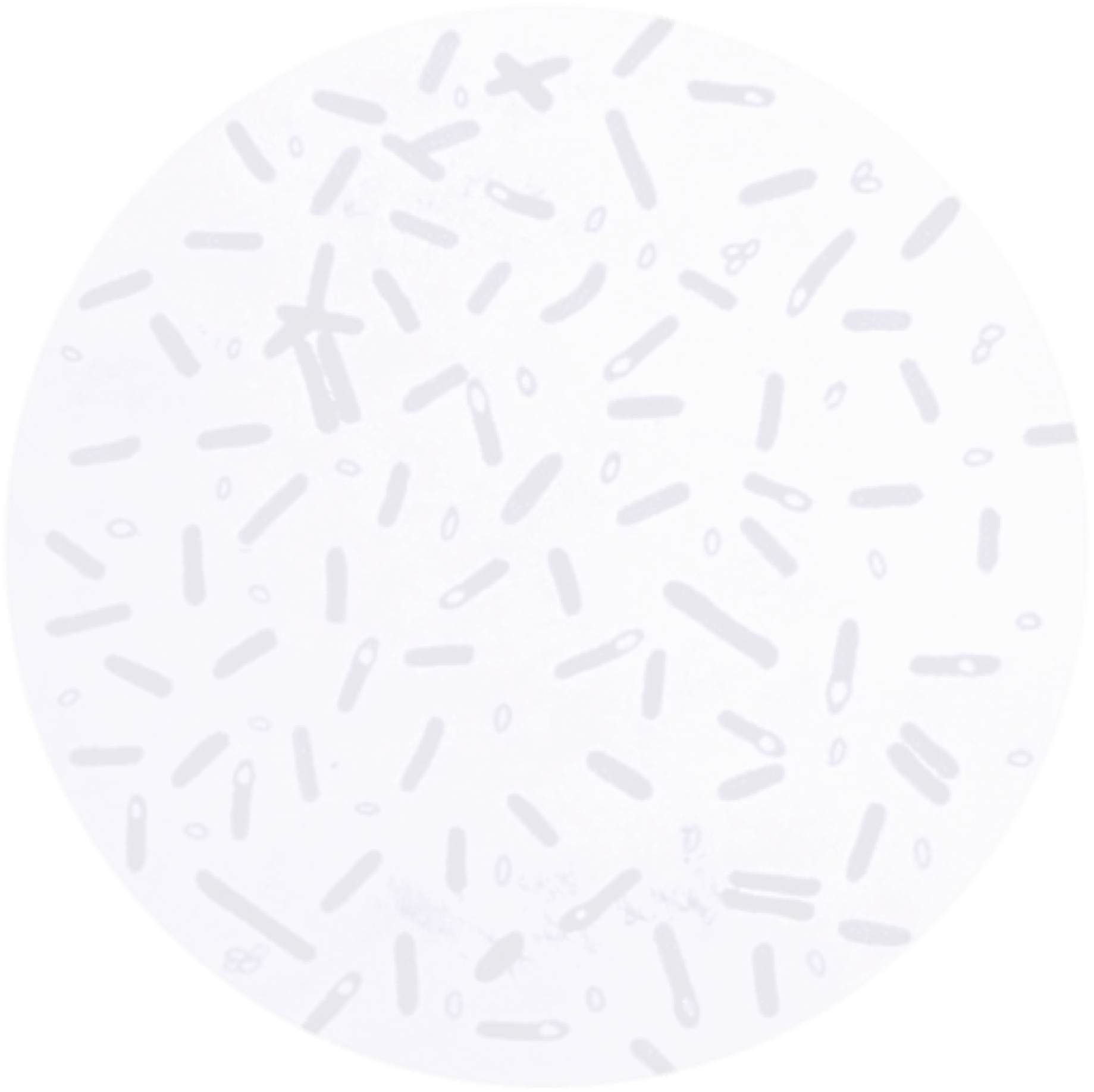 bacteria circle background